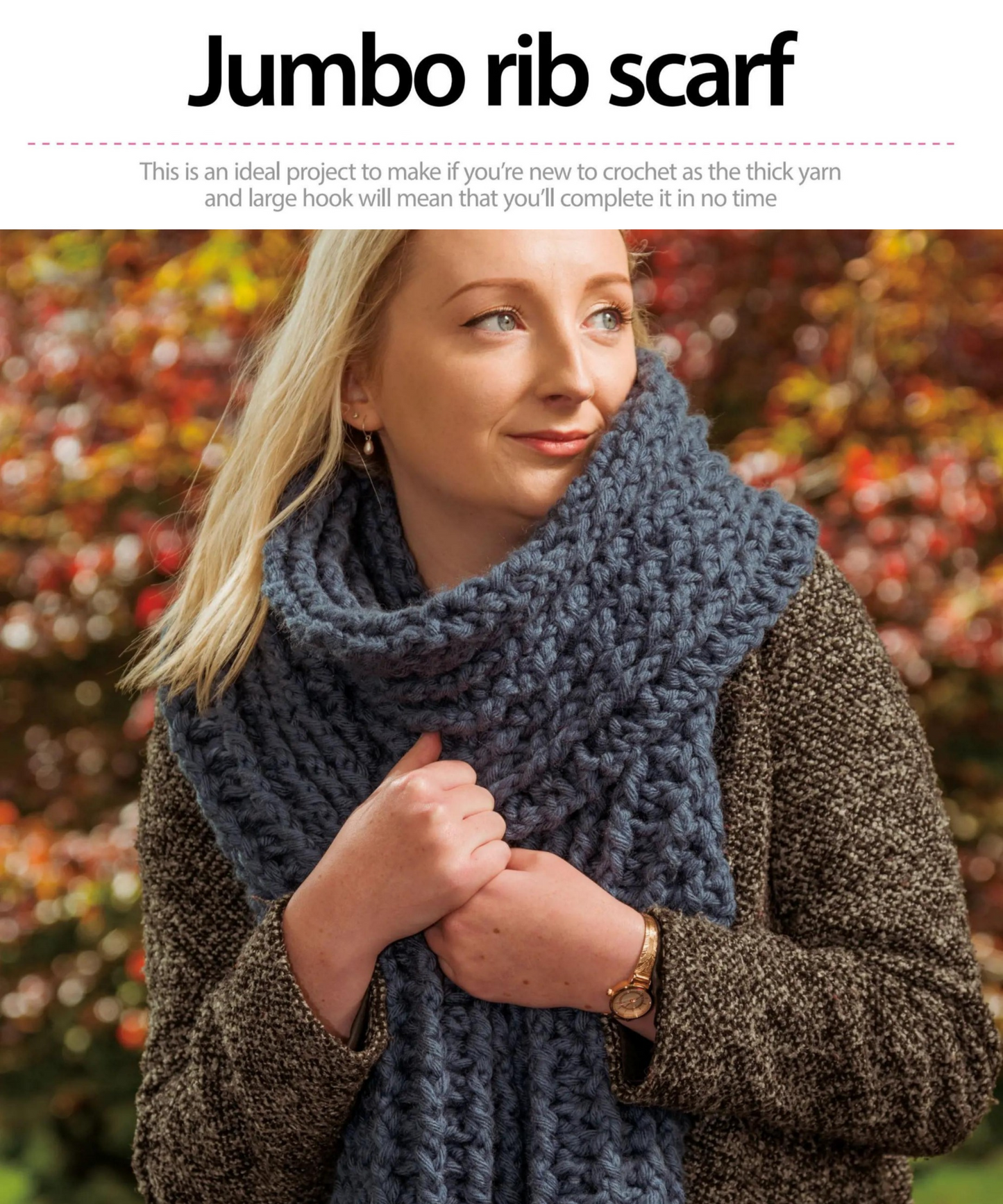 Crochet for Beginners A Stitch Dictionary Illustrations and 11 Easy Projects with Step-by-Step