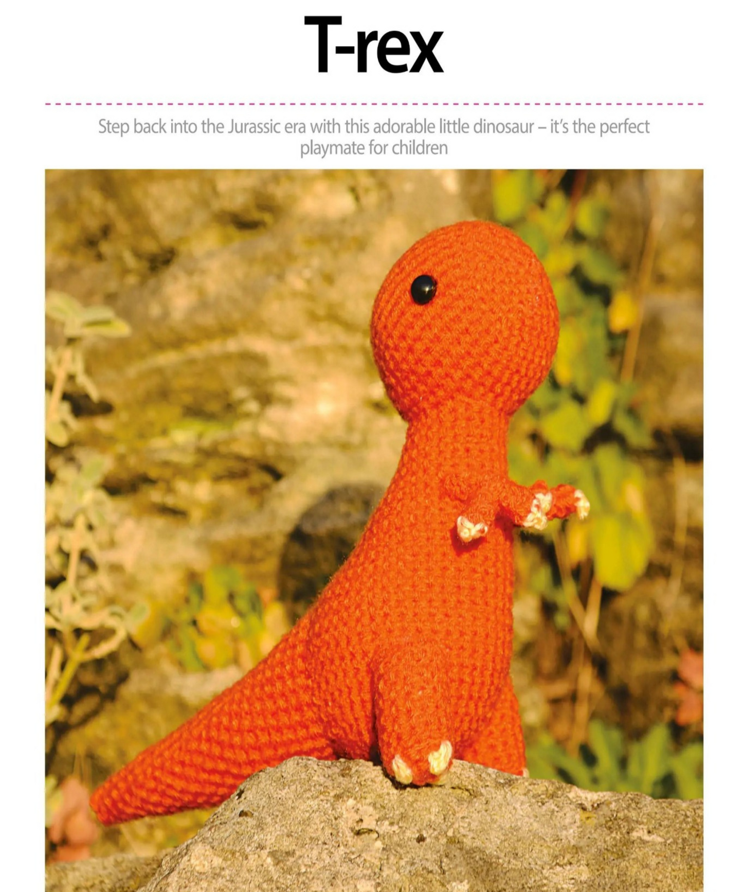 Crochet for Beginners A Stitch Dictionary Illustrations and 11 Easy Projects with Step-by-Step